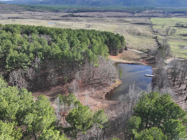 81 End Of Trail Rd, Mount Ida, AR 71957 - aerial overview of property's location with a large body of water