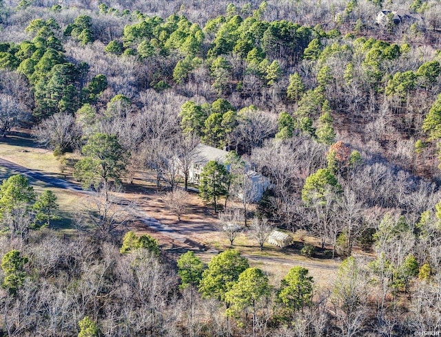 126 Lakeside Ln, Hot Springs, AR 71901 - photo 45