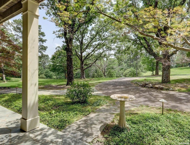 126 Lakeside Ln, Hot Springs, AR 71901 - photo 2