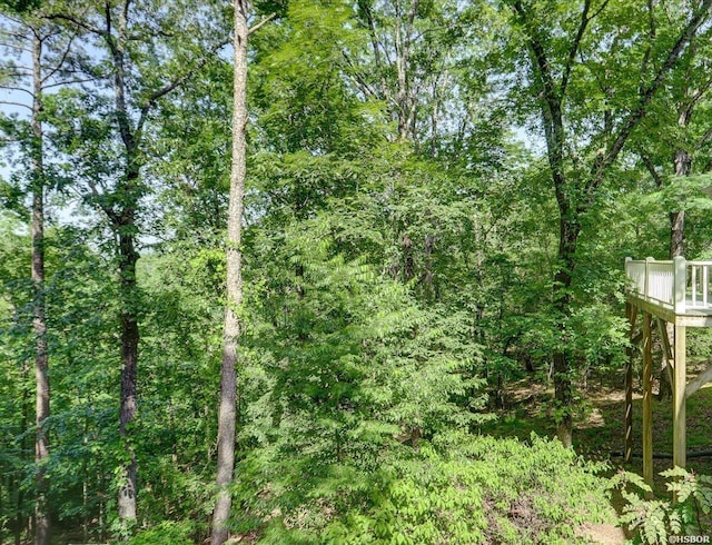 126 Lakeside Ln, Hot Springs, AR 71901 - photo 43
