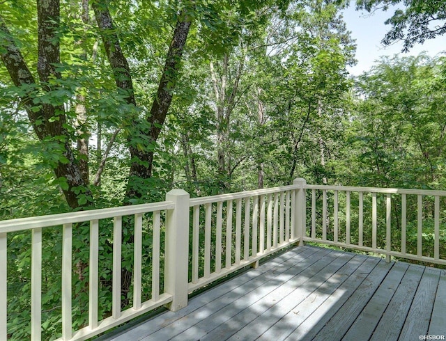 126 Lakeside Ln, Hot Springs, AR 71901 - photo 23