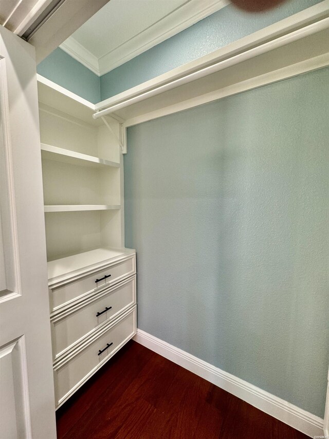 walk in closet featuring dark wood-type flooring