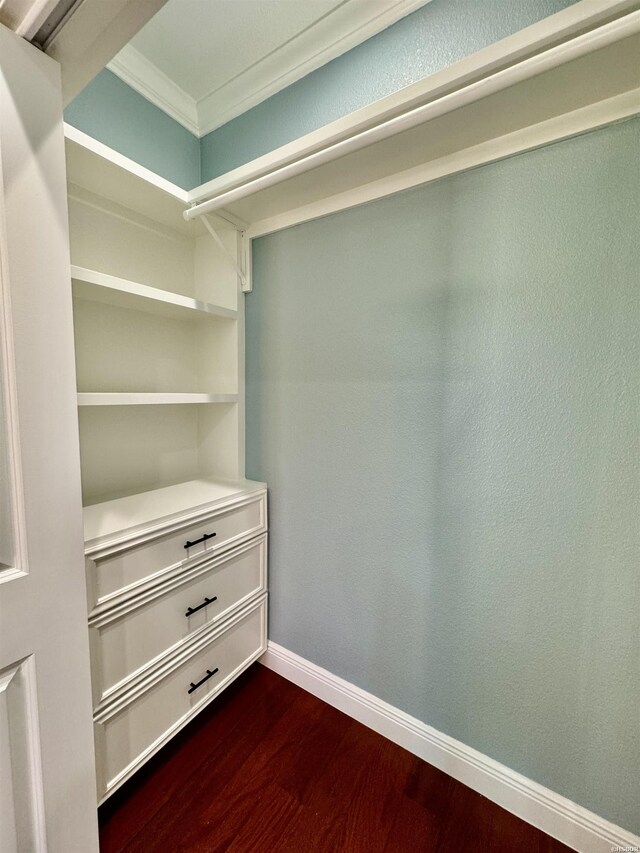 spacious closet with dark wood finished floors