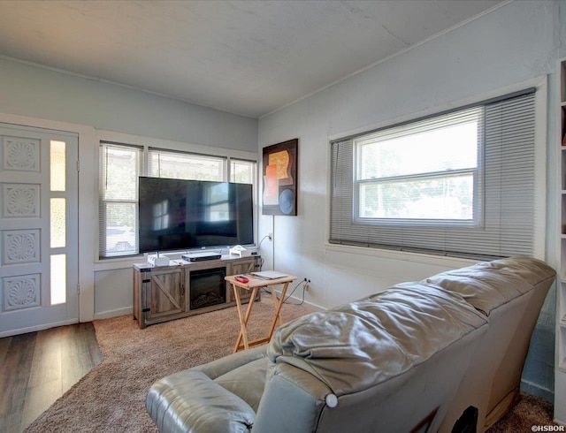 245 Silver St, Hot Springs, AR 71901 - photo 7