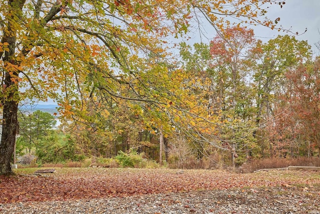 view of nature