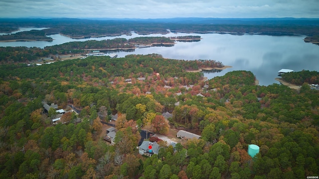 drone / aerial view with a forest view and a water view