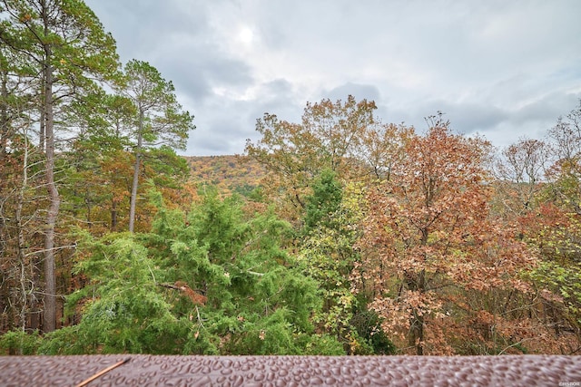 view of landscape featuring a forest view