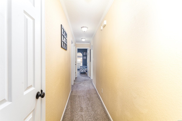 hall with light carpet, baseboards, crown molding, and a textured wall