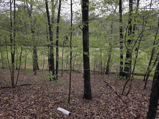 LOT1663 Pebble Beach Dr, Hot Springs, AR 71913 - photo 1