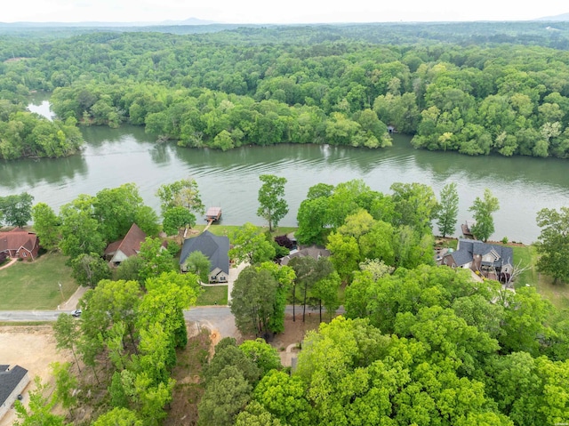 202 Lost Lake Pt, Hot Springs, AR 71913 - photo 4