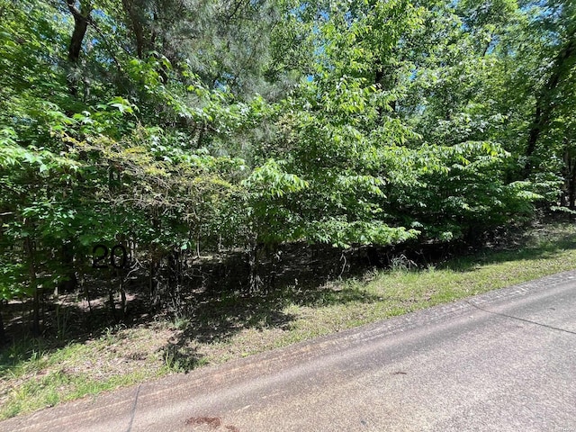 Listing photo 2 for LOT20 Waterview Dr, Hot Springs AR 71913