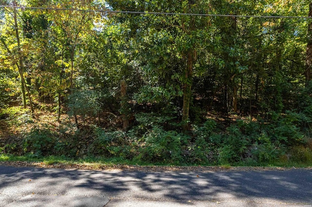 Listing photo 2 for XXX Bluff St, Hot Springs AR 71901