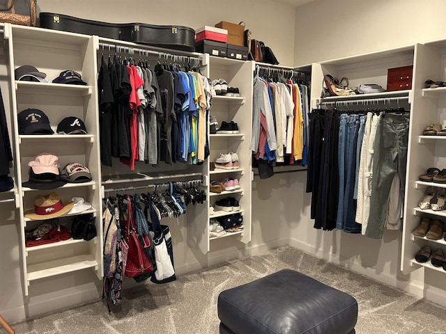 135 Callaway Cir, Hot Springs, AR 71913 - view of spacious closet
