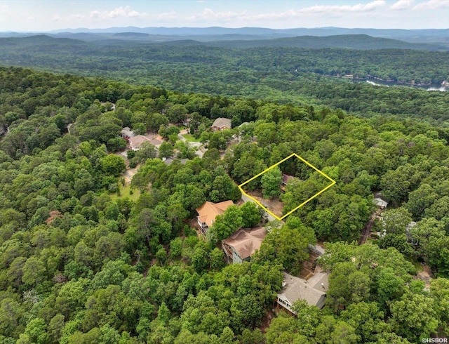 40 Almazan Way, Hot Springs Village, AR 71909 - photo 22