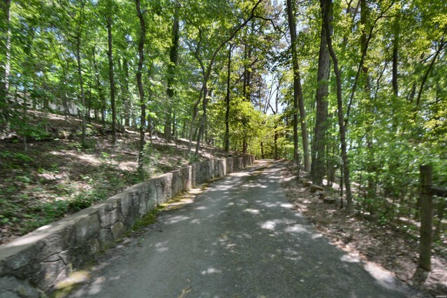 107 Downs Ter, Hot Springs, AR 71901 - photo 36