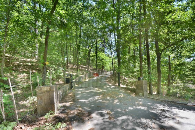 107 Downs Ter, Hot Springs, AR 71901 - photo 38