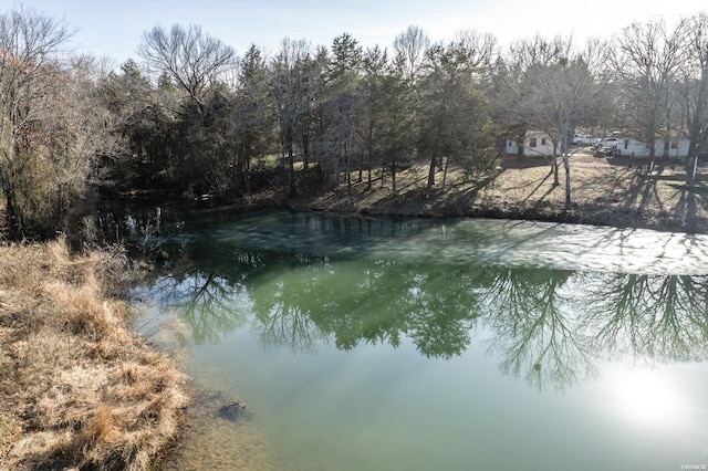 view of water feature