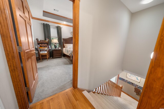 hallway with light wood finished floors, visible vents, ornamental molding, light carpet, and baseboards