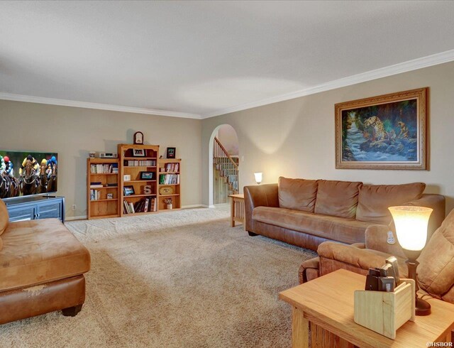 208 Star Crest St, Hot Springs, AR 71913 - photo 11