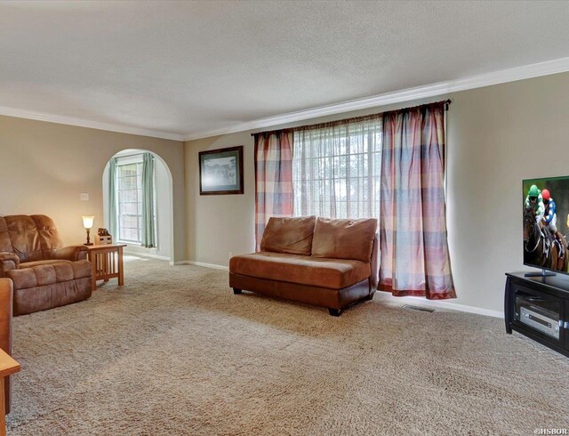208 Star Crest St, Hot Springs, AR 71913 - photo 12