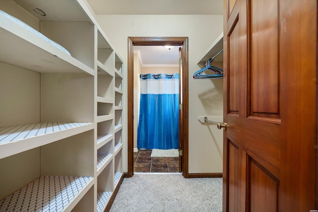 walk in closet with carpet