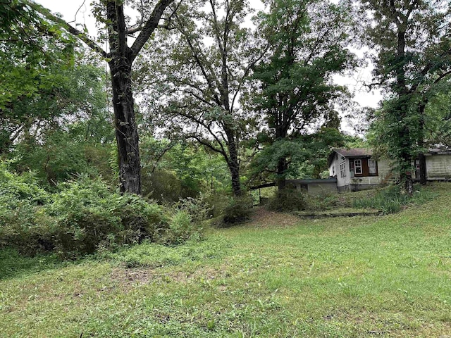 2748 Malvern Ave, Hot Springs, AR 71901 - photo 4