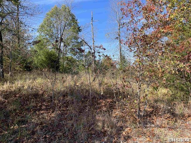 00 Copper Mtn, Hot Springs, AR 71913
