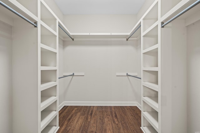 spacious closet with dark wood finished floors