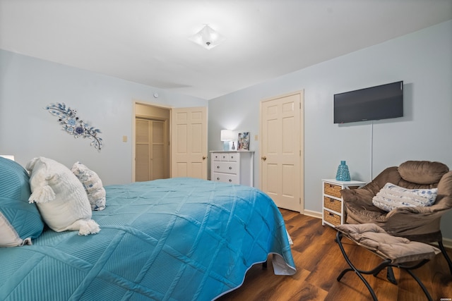 206 Shawnee St, Hot Springs, AR 71901 - bedroom featuring dark wood finished floors and a closet