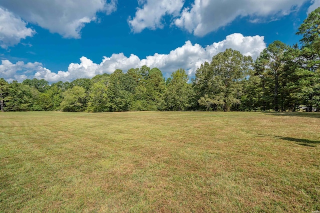 1526 Pearcy Rd, Pearcy, AR 71964 - view of green lawn featuring a forest view