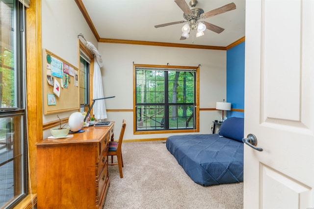 carpeted home office with crown molding, ceiling fan, and baseboards