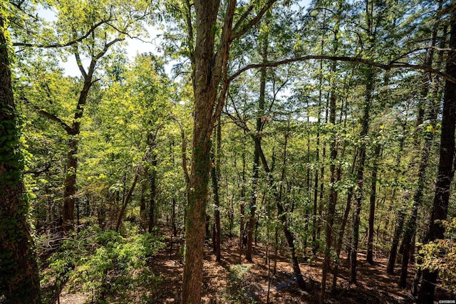 view of landscape featuring a forest view