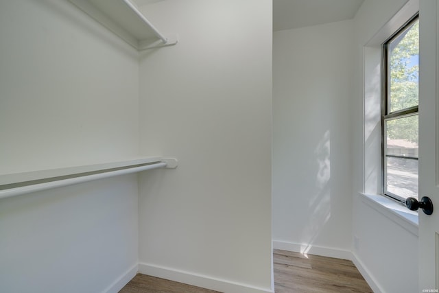 spacious closet featuring wood finished floors