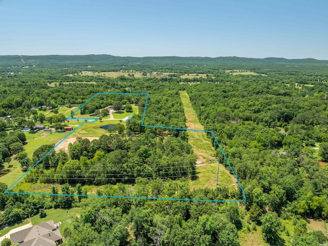 aerial view with a wooded view