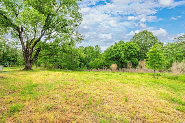 75 Grant 7, Sheridan, AR 72150 - view of yard with a wooded view
