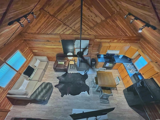 150 Shady Oak Trl, Hot Springs, AR 71913 - living area with wood walls, lofted ceiling, wooden ceiling, and track lighting