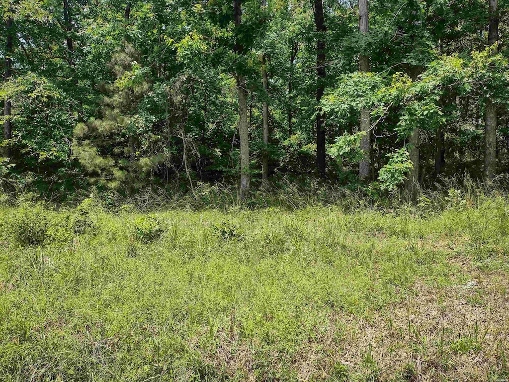 LOT1008 Independence Dr, Hot Springs, AR 71019 - photo 1