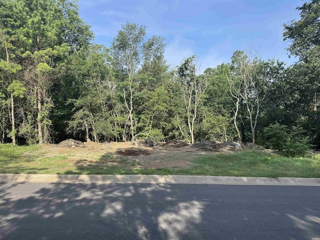 LOT3 High Meadow Loop, Hot Springs, AR 71901