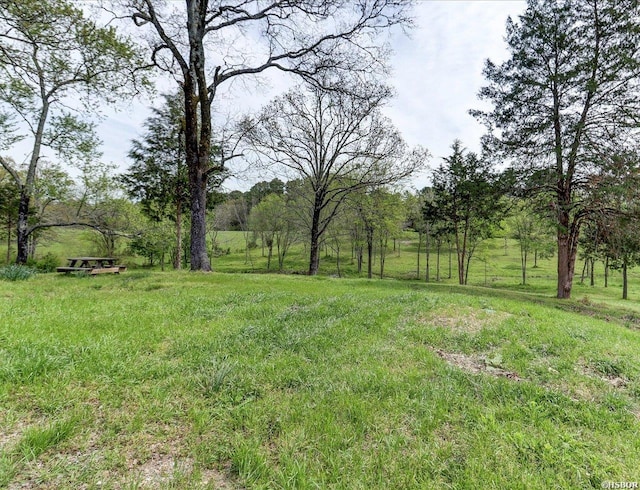 1360 Cedarglade Rd, Hot Springs, AR 71913 - photo 23