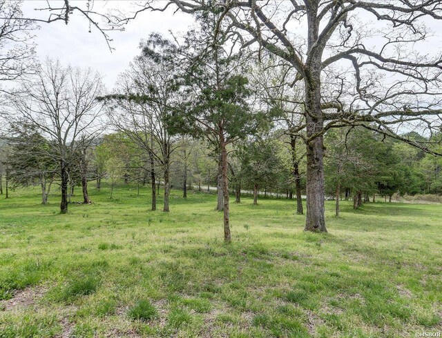 1360 Cedarglade Rd, Hot Springs, AR 71913 - photo 24
