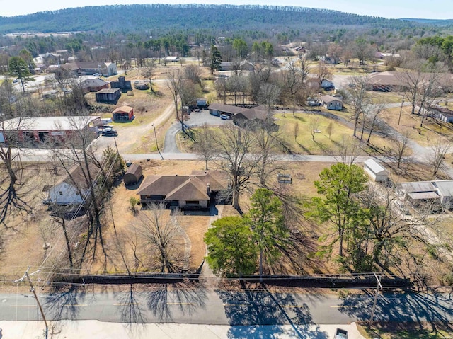 409 Whittington St, Mount Ida, AR 71957 - photo 41