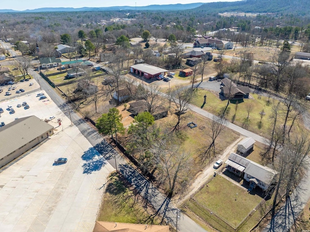 409 Whittington St, Mount Ida, AR 71957 - photo 43