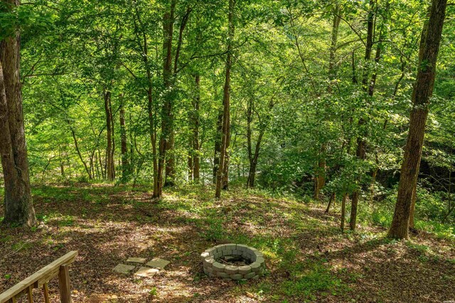 67 Delton Mccauley Rd, Kirby, AR 71950 - view of woods