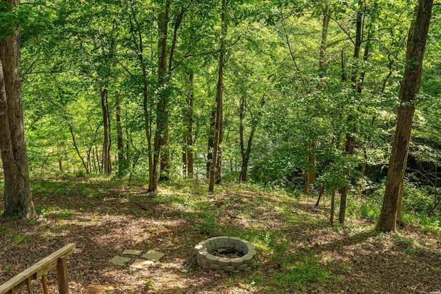 67 Delton Mccauley Rd, Kirby, AR 71950 - view of tree filled area