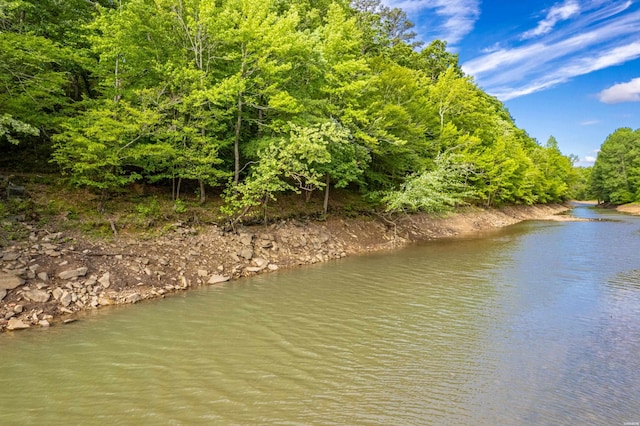 67 Delton Mccauley Rd, Kirby, AR 71950 - water view