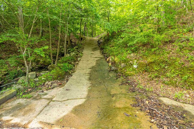 67 Delton Mccauley Rd, Kirby, AR 71950 - view of road