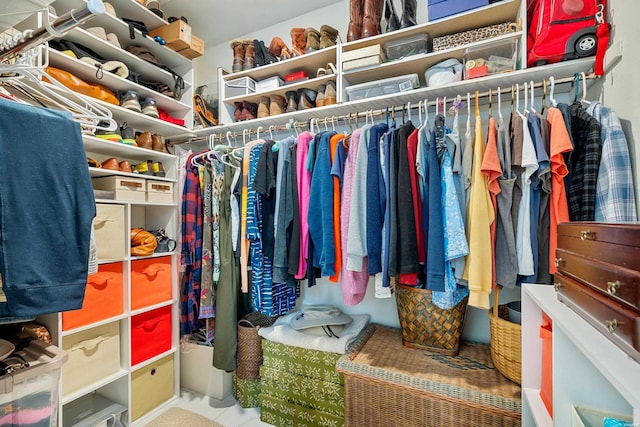 view of walk in closet