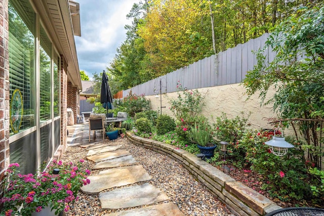 view of yard with a patio area and a fenced backyard