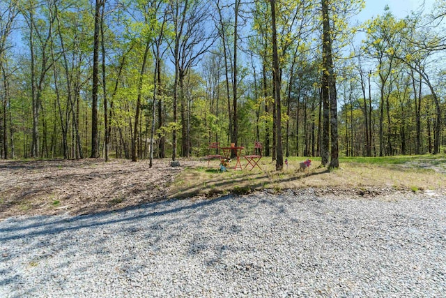 120 Needham Rd, Fountain Lake, AR 71901 - view of road featuring a wooded view