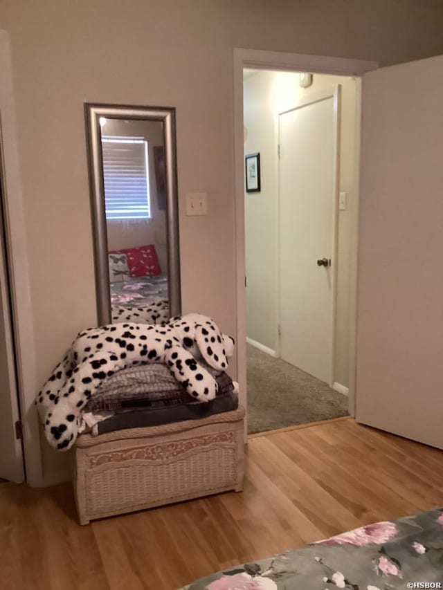 interior space with wood finished floors